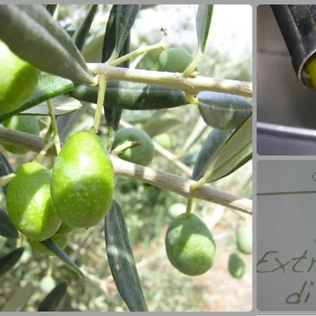 شقة Casa Leuca *